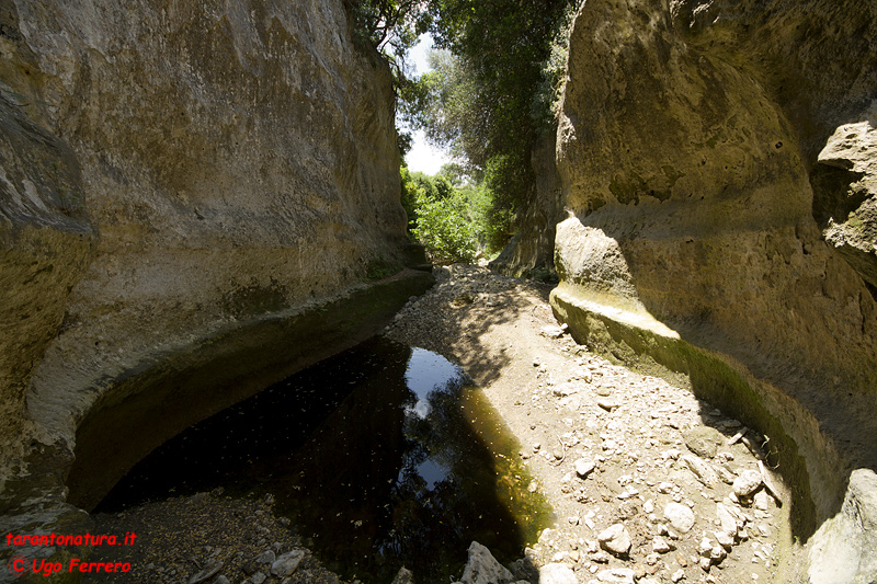 Un ambiente particolare - Gravina pugliese